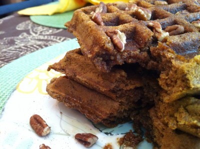 Pumpkin Flax Waffles with Bite